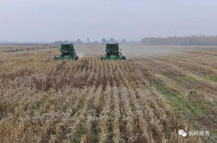 長(zhǎng)嶺縣人民政府