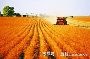 護(hù)航農(nóng)業(yè)發(fā)展保險(xiǎn)擔(dān)重任,5類保險(xiǎn)首秀中央一號(hào)文件