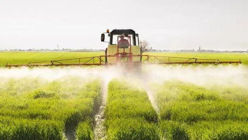 常州市生態循環農業重點發展模式