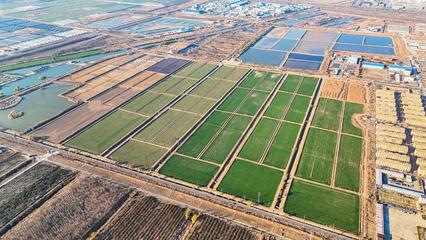 墾利經濟開發區、興隆街道:聚焦民生福祉 繪就幸福生活新圖景