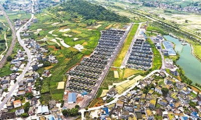 工廠化養(yǎng)殖的對蝦長啥樣