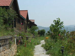 太原市采薇莊園特色農(nóng)業(yè)開發(fā)圖冊