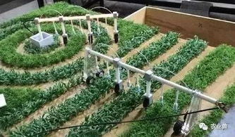 以色列農業發展：農業不只關乎農民，更關乎科技創新與國家戰略