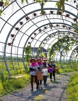 勇當(dāng)鄉(xiāng)村振興“偵察兵”“先鋒隊(duì)”——瀏陽市國家級(jí)田園綜合體建設(shè)試點(diǎn)紀(jì)實(shí)