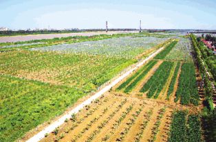 點(diǎn)亮農(nóng)業(yè)智慧之光——現(xiàn)代農(nóng)業(yè)創(chuàng)新開發(fā)與經(jīng)濟(jì)發(fā)展新路徑