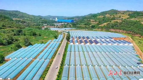 現(xiàn)代農(nóng)業(yè)蓬勃發(fā)展 崇信打造全產(chǎn)業(yè)鏈?zhǔn)卟水a(chǎn)業(yè)示范區(qū)