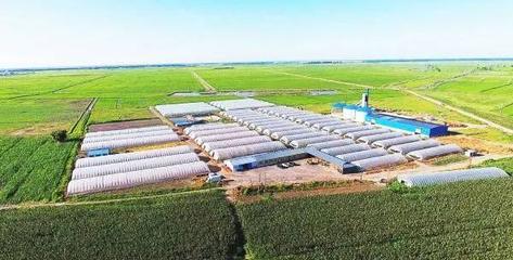 扶余 產業強、農民富，繪就千里沃野新圖景