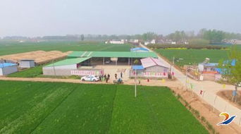 發展新型農業，帶動村民致富——農業開發的新路徑