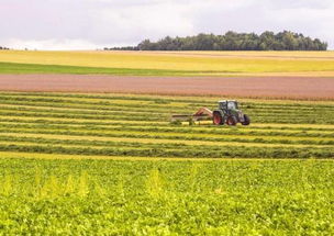 農業部發文推進農業開發，五大領域將獲政策紅利